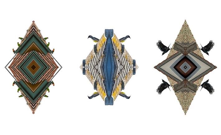 Illustration of three triangular symmetrical shapes with muted brown, yellow, blue and green lines and birds