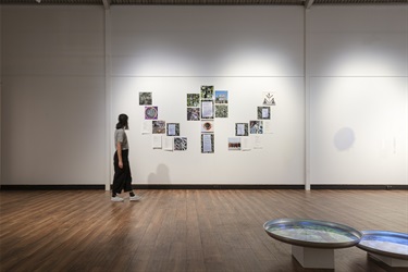 re-member exhibition overview